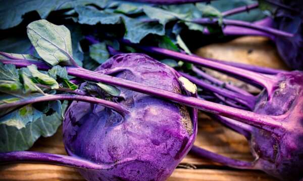 Viola: corso di cucina vegetariana ispirato al colore viola.